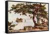 Pine-Tree at Matsushima-Ella Du Cane-Framed Stretched Canvas