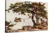 Pine-Tree at Matsushima-Ella Du Cane-Stretched Canvas