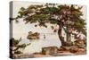 Pine-Tree at Matsushima-Ella Du Cane-Stretched Canvas