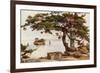 Pine-Tree at Matsushima-Ella Du Cane-Framed Giclee Print