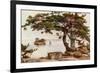 Pine-Tree at Matsushima-Ella Du Cane-Framed Giclee Print