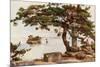 Pine-Tree at Matsushima-Ella Du Cane-Mounted Giclee Print