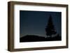 Pine Tree at Night on Stuoc Peak, Durmitor Np, Montenegro, October 2008-Radisics-Framed Photographic Print