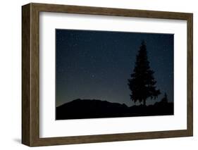 Pine Tree at Night on Stuoc Peak, Durmitor Np, Montenegro, October 2008-Radisics-Framed Photographic Print