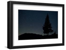 Pine Tree at Night on Stuoc Peak, Durmitor Np, Montenegro, October 2008-Radisics-Framed Photographic Print