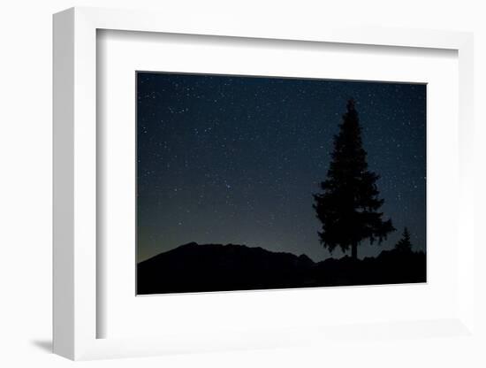 Pine Tree at Night on Stuoc Peak, Durmitor Np, Montenegro, October 2008-Radisics-Framed Photographic Print