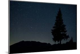 Pine Tree at Night on Stuoc Peak, Durmitor Np, Montenegro, October 2008-Radisics-Mounted Photographic Print