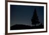 Pine Tree at Night on Stuoc Peak, Durmitor Np, Montenegro, October 2008-Radisics-Framed Photographic Print