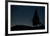 Pine Tree at Night on Stuoc Peak, Durmitor Np, Montenegro, October 2008-Radisics-Framed Photographic Print