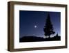 Pine Tree at Night with Moon Shining, on Stuoc Peak, Durmitor Np, Montenegro, October 2008-Radisics-Framed Premium Photographic Print