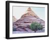 Pine Tree Growing beneath a Rock Peak-Nosnibor137-Framed Photographic Print