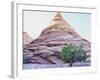 Pine Tree Growing beneath a Rock Peak-Nosnibor137-Framed Photographic Print