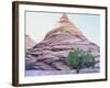 Pine Tree Growing beneath a Rock Peak-Nosnibor137-Framed Photographic Print