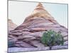 Pine Tree Growing beneath a Rock Peak-Nosnibor137-Mounted Photographic Print