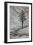 Pine Tree Growing on a Sandstone Ledge-James Hager-Framed Photographic Print