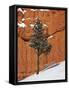 Pine Tree in Front of Red-Rock Face with Snow on the Ground, Dixie National Forest, North America-James Hager-Framed Stretched Canvas