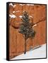 Pine Tree in Front of Red-Rock Face with Snow on the Ground, Dixie National Forest, North America-James Hager-Framed Stretched Canvas