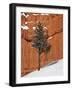 Pine Tree in Front of Red-Rock Face with Snow on the Ground, Dixie National Forest, North America-James Hager-Framed Photographic Print