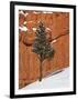 Pine Tree in Front of Red-Rock Face with Snow on the Ground, Dixie National Forest, North America-James Hager-Framed Photographic Print