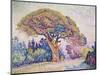 Pine Tree in St. Tropez-Paul Signac-Mounted Giclee Print