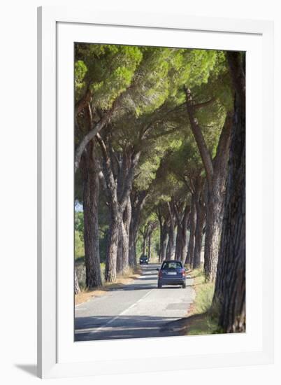 Pine Tree Lined Road with Car Travelling Along It, Tuscany, Italy, Europe-John-Framed Photographic Print