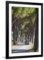 Pine Tree Lined Road with Car Travelling Along It, Tuscany, Italy, Europe-John-Framed Photographic Print