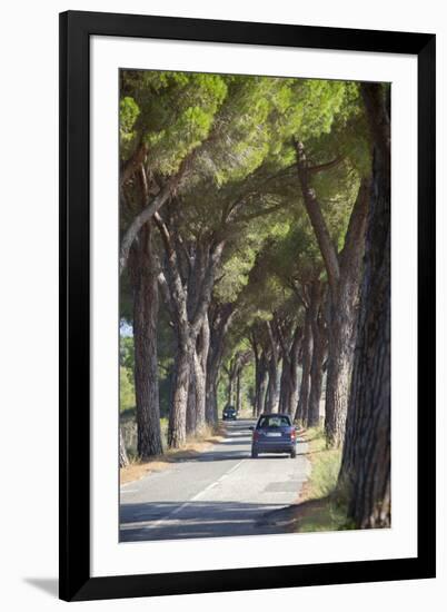 Pine Tree Lined Road with Car Travelling Along It, Tuscany, Italy, Europe-John-Framed Photographic Print