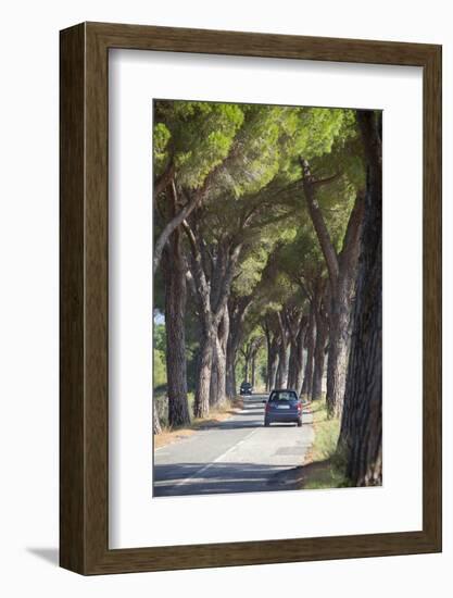 Pine Tree Lined Road with Car Travelling Along It, Tuscany, Italy, Europe-John-Framed Photographic Print