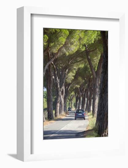 Pine Tree Lined Road with Car Travelling Along It, Tuscany, Italy, Europe-John-Framed Photographic Print