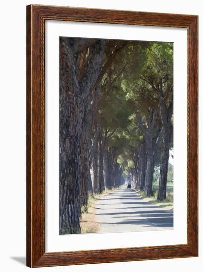 Pine Tree Lined Road with Small Piaggio Three Wheeled Van Travelling Along It-John-Framed Photographic Print