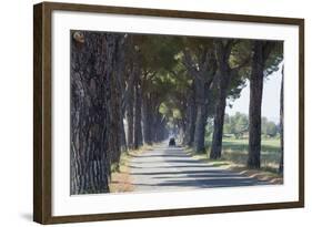 Pine Tree Lined Road with Small Piaggio Three Wheeled Van Travelling Along It-John-Framed Photographic Print