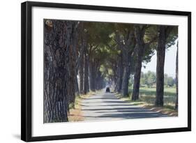 Pine Tree Lined Road with Small Piaggio Three Wheeled Van Travelling Along It-John-Framed Photographic Print