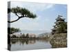 Pine Tree, Matsumoto Castle, Matsumoto City, Nagano Prefecture, Honshu Island, Japan-Christian Kober-Stretched Canvas