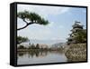 Pine Tree, Matsumoto Castle, Matsumoto City, Nagano Prefecture, Honshu Island, Japan-Christian Kober-Framed Stretched Canvas