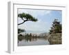 Pine Tree, Matsumoto Castle, Matsumoto City, Nagano Prefecture, Honshu Island, Japan-Christian Kober-Framed Photographic Print