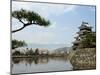 Pine Tree, Matsumoto Castle, Matsumoto City, Nagano Prefecture, Honshu Island, Japan-Christian Kober-Mounted Photographic Print