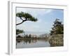 Pine Tree, Matsumoto Castle, Matsumoto City, Nagano Prefecture, Honshu Island, Japan-Christian Kober-Framed Photographic Print