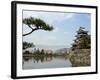 Pine Tree, Matsumoto Castle, Matsumoto City, Nagano Prefecture, Honshu Island, Japan-Christian Kober-Framed Photographic Print