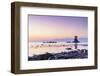 Pine tree on a rock outcrop in the Sea of Japan, Ameharakaigan, Toyama prefecture, Honshu, Japan-Christian Kober-Framed Photographic Print