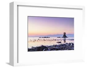 Pine tree on a rock outcrop in the Sea of Japan, Ameharakaigan, Toyama prefecture, Honshu, Japan-Christian Kober-Framed Photographic Print