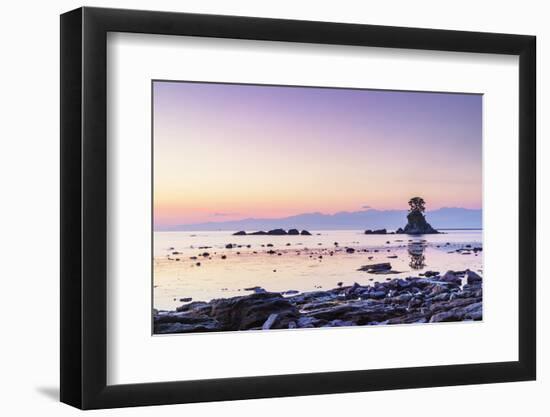 Pine tree on a rock outcrop in the Sea of Japan, Ameharakaigan, Toyama prefecture, Honshu, Japan-Christian Kober-Framed Photographic Print