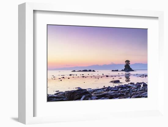 Pine tree on a rock outcrop in the Sea of Japan, Ameharakaigan, Toyama prefecture, Honshu, Japan-Christian Kober-Framed Photographic Print