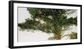 Pine Tree-Micheal Zarowsky-Framed Giclee Print