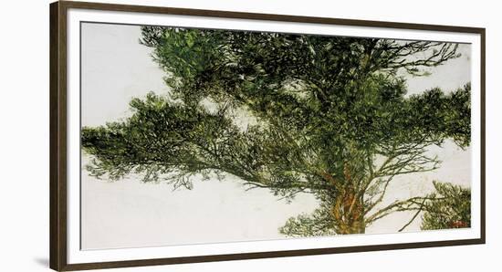 Pine Tree-Micheal Zarowsky-Framed Giclee Print