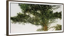 Pine Tree-Micheal Zarowsky-Framed Giclee Print