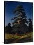 Pine Tree-Arkhip Ivanovich Kuindzhi-Stretched Canvas