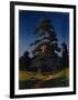 Pine Tree-Arkhip Ivanovich Kuindzhi-Framed Giclee Print