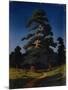 Pine Tree-Arkhip Ivanovich Kuindzhi-Mounted Giclee Print