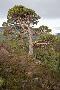 Just the Print
