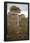 Essential Black
